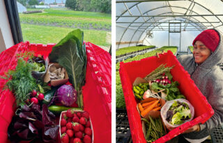 Locally grown food from Ohio City Farm