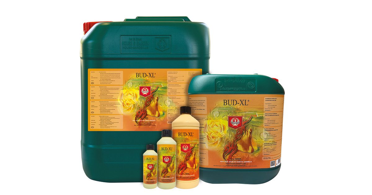 House & Garden BudXL Marketplace