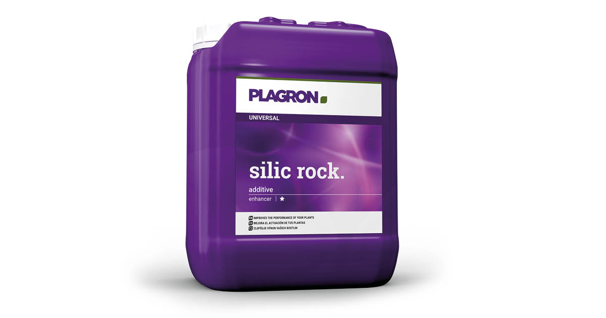 Silic Rock