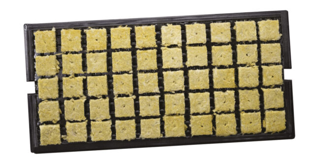 Grodan® Stone Wool 1.5" A-OK Starter Plugs™ in Prefilled Tray