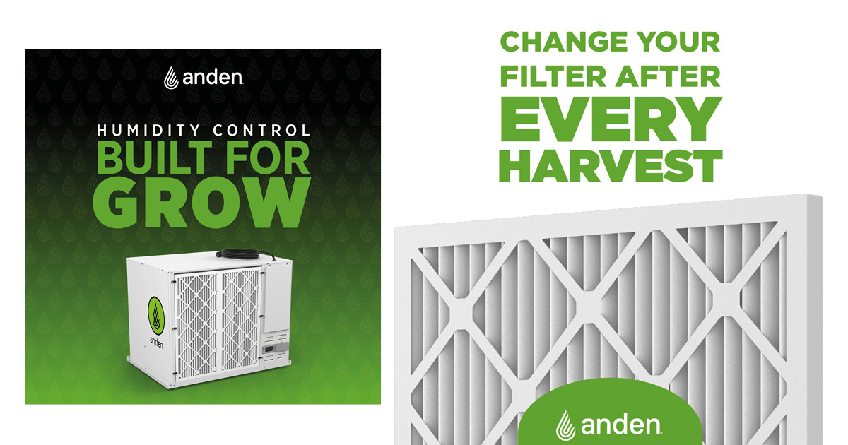 Anden Filter Replacement