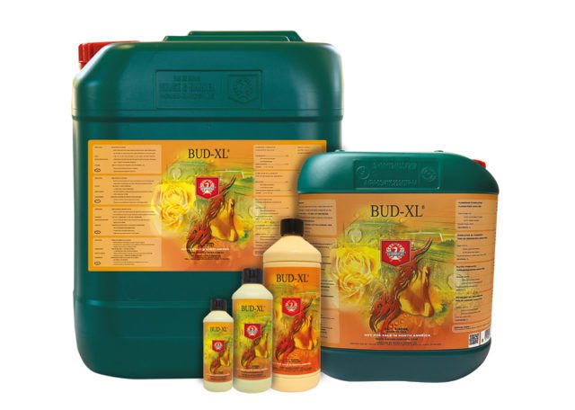 House & Garden Bud-XL