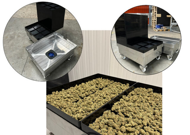 Cannabis Drying