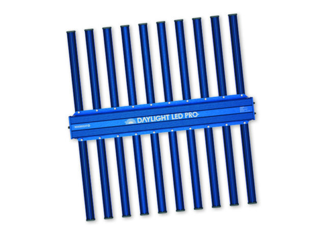 DAYLIGHT 1030W PRO LED from Maxibright