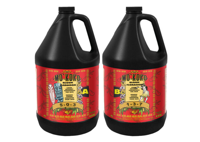 MO’KOKO BLOOM 2-Part