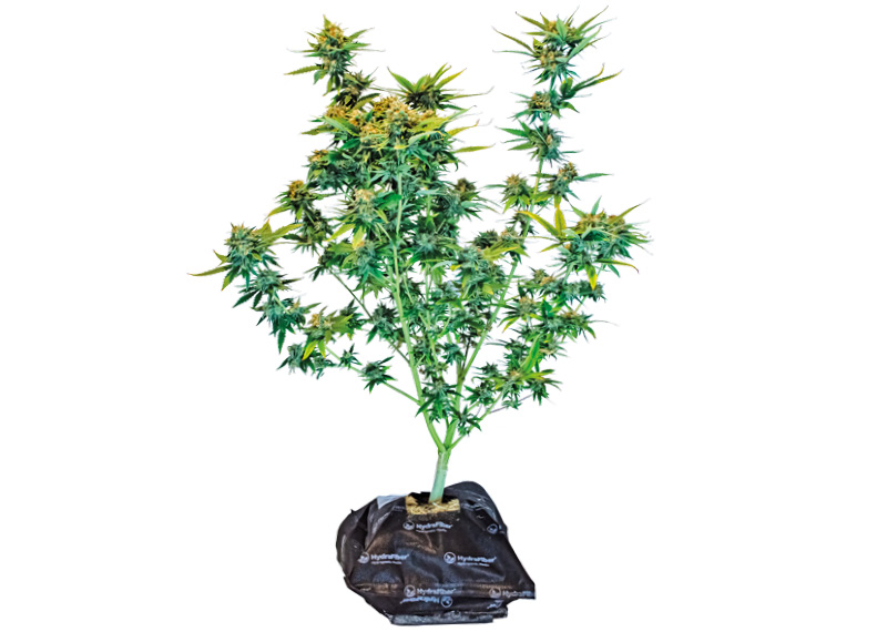 HydroMatrix