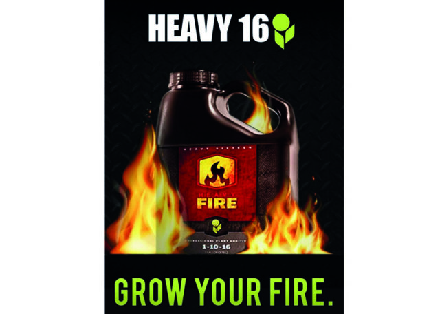 HEAVY16 FIRE