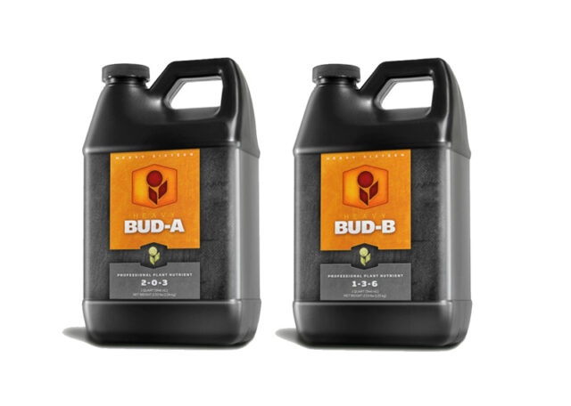 HEAVY 16 Bud A & Bud B