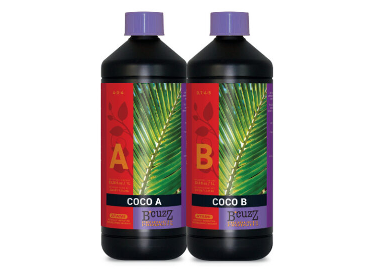 B’CUZZ COCO A&B