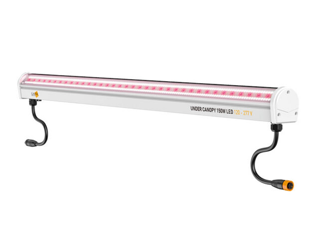 Gavita® Under Canopy 150W LED