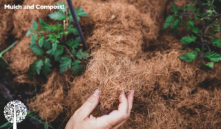 a person's hands touching compost with green leafy plants in it