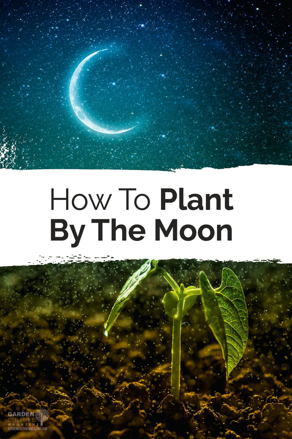 plantación de luna
