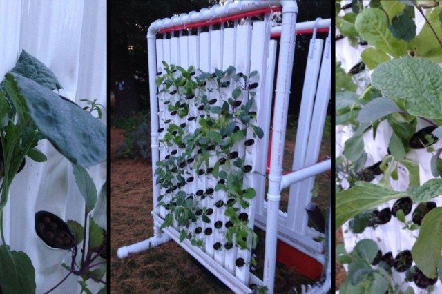 RUFS: Build Your Own Robotic Vertical Hydro Farm
