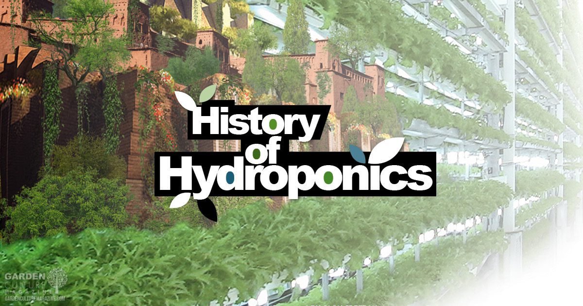 Hydroponics history