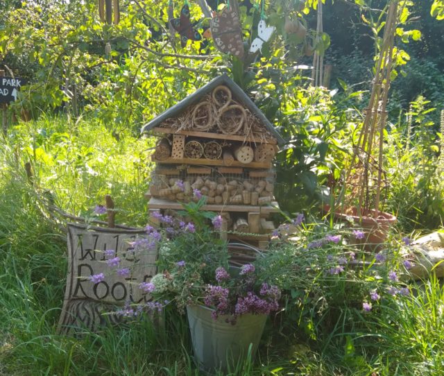 The Wild Roots Project