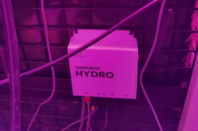 OsmoBot: Affordable Online Hydroponic System Monitor