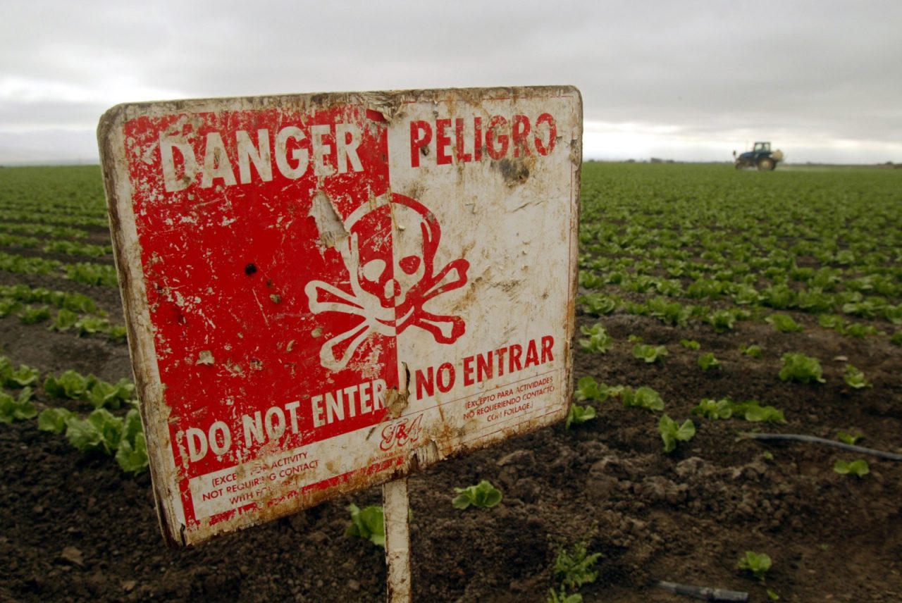 UN: Agricultural Pesticides Unnecessary to Feed the World