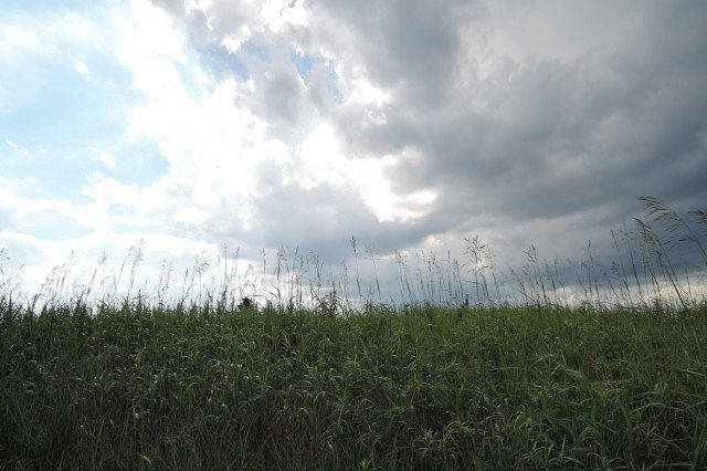 Air Quality: Indoor Garden Climate Control