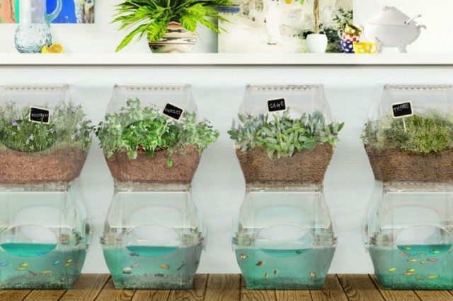 Aqualibrium Aquaponic Garden