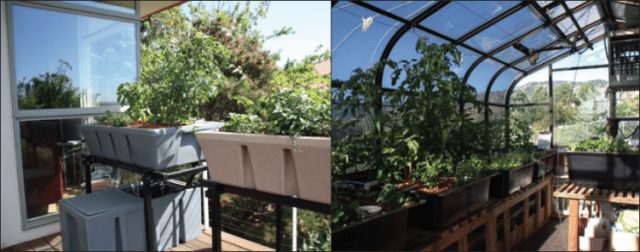 Aquaponics is Fully Scalable: Garden to Farm