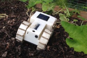 Automated Organic Weed Control: Vegetable Garden Weeding Robot