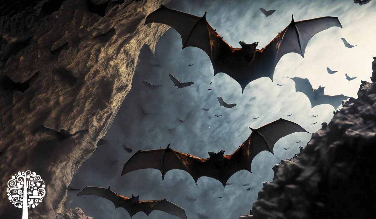 Bat Guano The Superfood With A Bad Rap Garden Culture Magazine