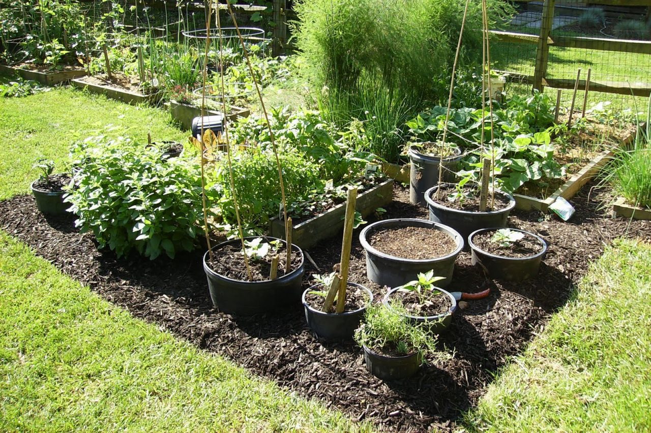 Better Container Vegetable Gardening Garden Culture Magazine