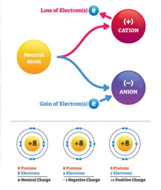 Cation and Anion Exchange Capacity And Why It Matters To Your Grow