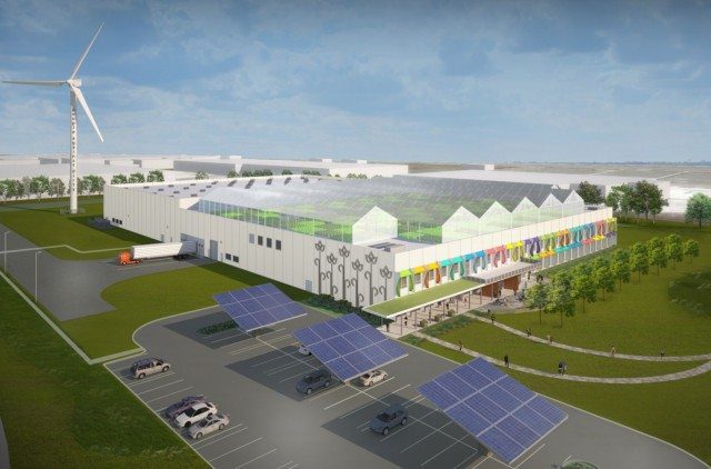 Method Chicago: Home of World's Largest Rooftop Hydroponic Farm