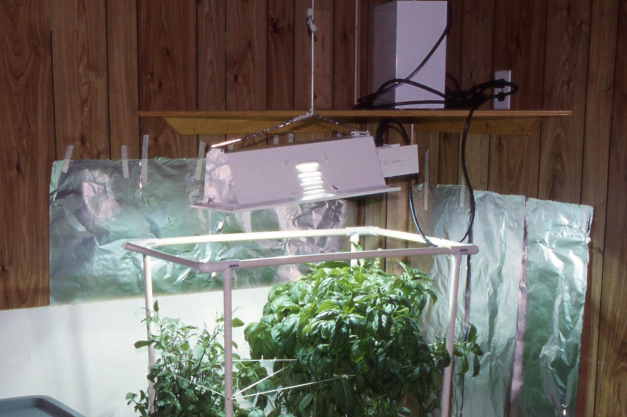 Indoor Garden Lighting Options Garden Culture Magazine