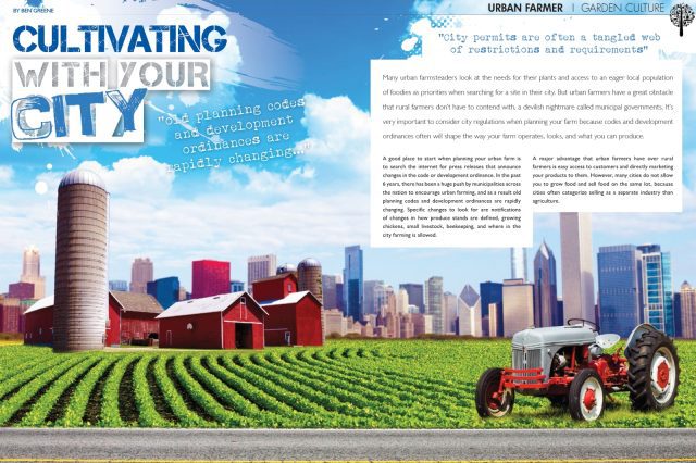 Cultivating with Your City: Urban Farm Planning