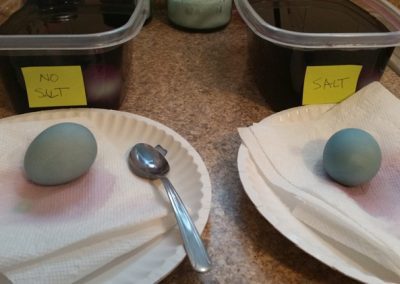 DIY Denim Eggs: Natural Egg Dyes | Garden Culture Magazine