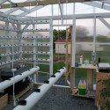 Build It Yourself: Hydroponic Greenhouse