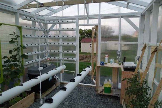 Build It Yourself: Hydroponic Greenhouse