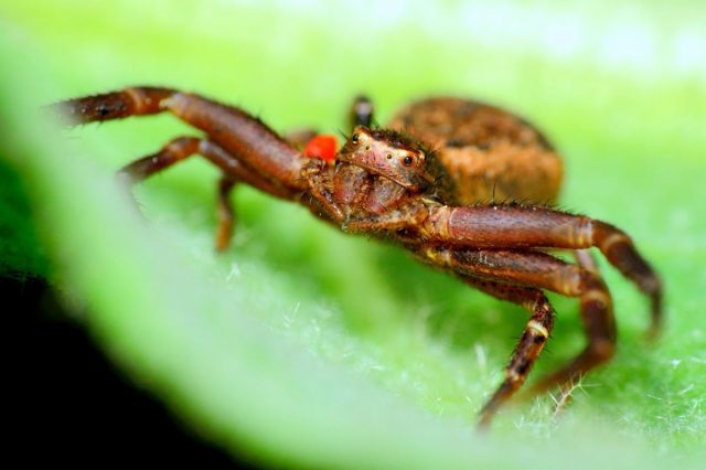 Don't Make These Grow Room Mistakes!