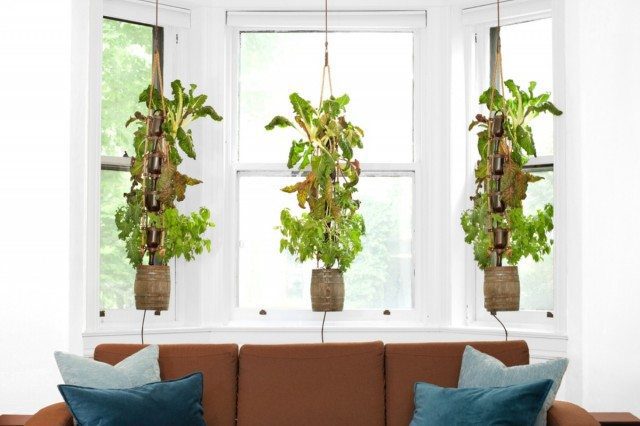 Elegant Farm: Vertical Hydroponic Garden