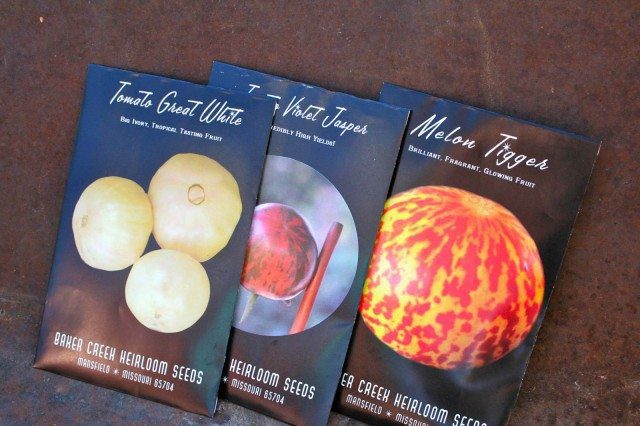 Always Exotic & Intriguing: Heirloom Seeds
