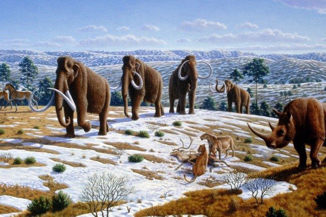 Extinct: a reoccurring event caused by man and climate change. Monoculture farming renders food plants extinct just as the end of the Ice Age removed many mammals extinct. Image by Mauricio Antón, CC by 2.0