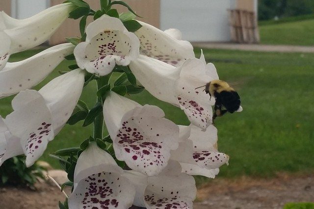 Federal Judge Revokes EPA Pesticide Approval