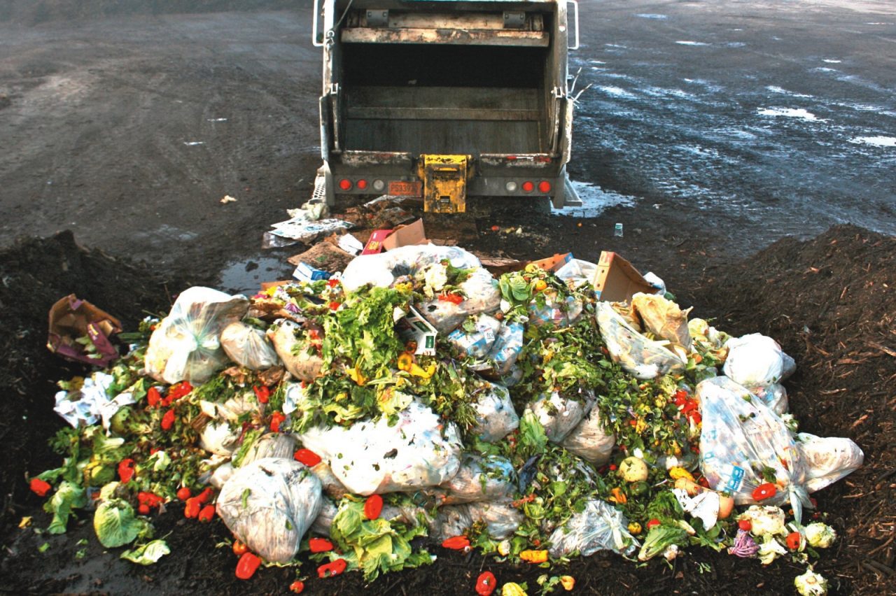 Fertilizer from Food Waste | Garden Culture Magazine