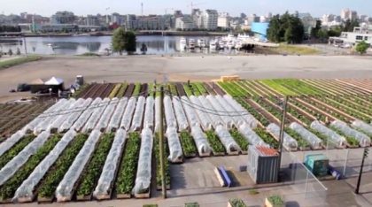 First Sole Food Farm in Vancouver