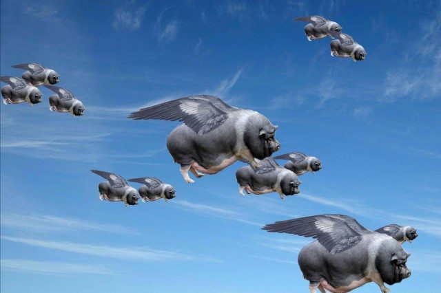 Flying Chinese Pigs?