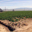 Fracking Water Irrigates California Produce?