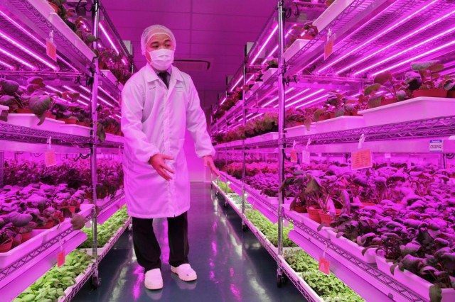 Future Of Factory Farming: Panasonic Grows