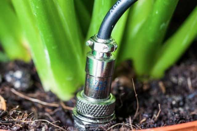 High Tech Garden Gizmos?