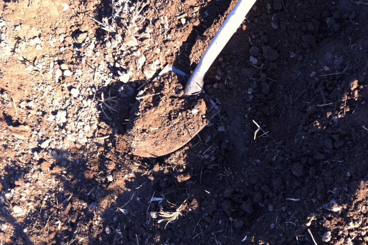 Is Garden Soil Testing Important? Garden Culture Magazine