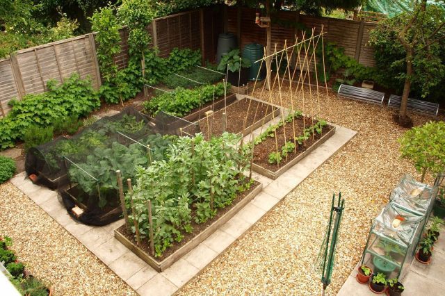 Gardening Health Benefits are Bigger than Food
