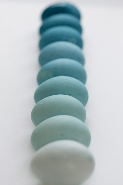 The Goal: Cabbage-Dyed Range of Blues Eggs