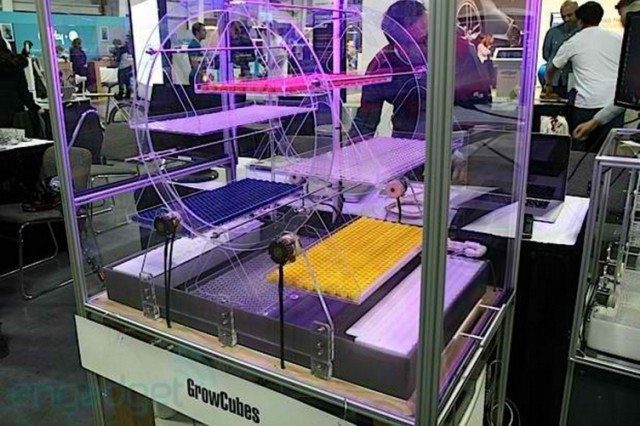 GrowCube at Insert Coin Expand NY