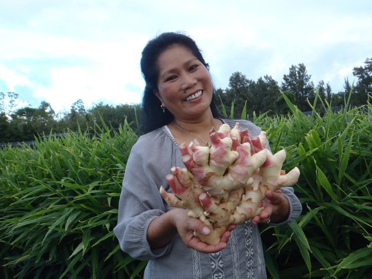 Elvie Johnson: Growing Ginger at Puna Organics in Hawaii